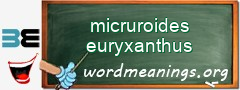 WordMeaning blackboard for micruroides euryxanthus